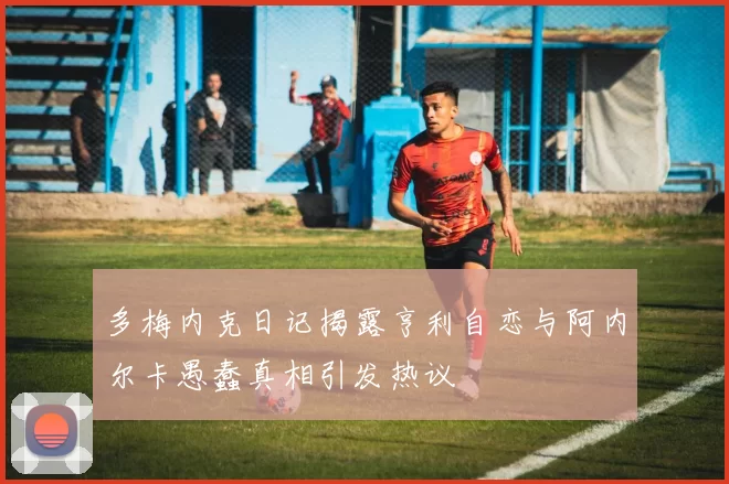 多梅内克日记揭露亨利自恋与阿内尔卡愚蠢真相引发热议